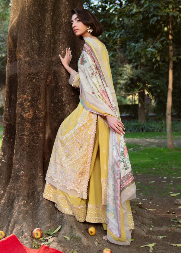 3 Piece Women's suit Lawn Pale Yellow