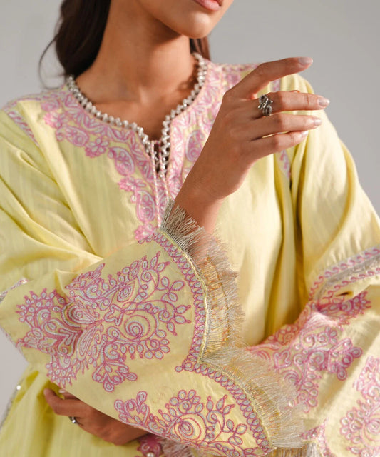 3 Piece - Embroidered Leno Kara Suit
