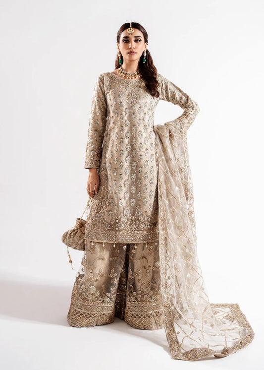 3Piece Party wear Women's Dress