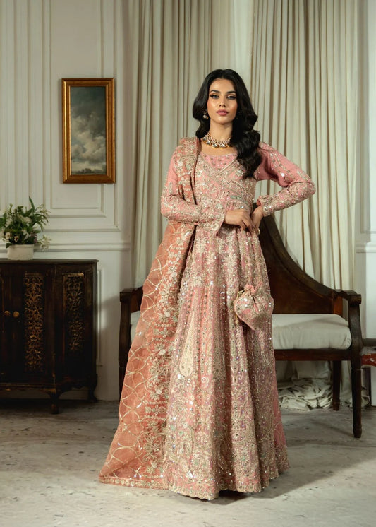 Anaarkali frock Women's Dress