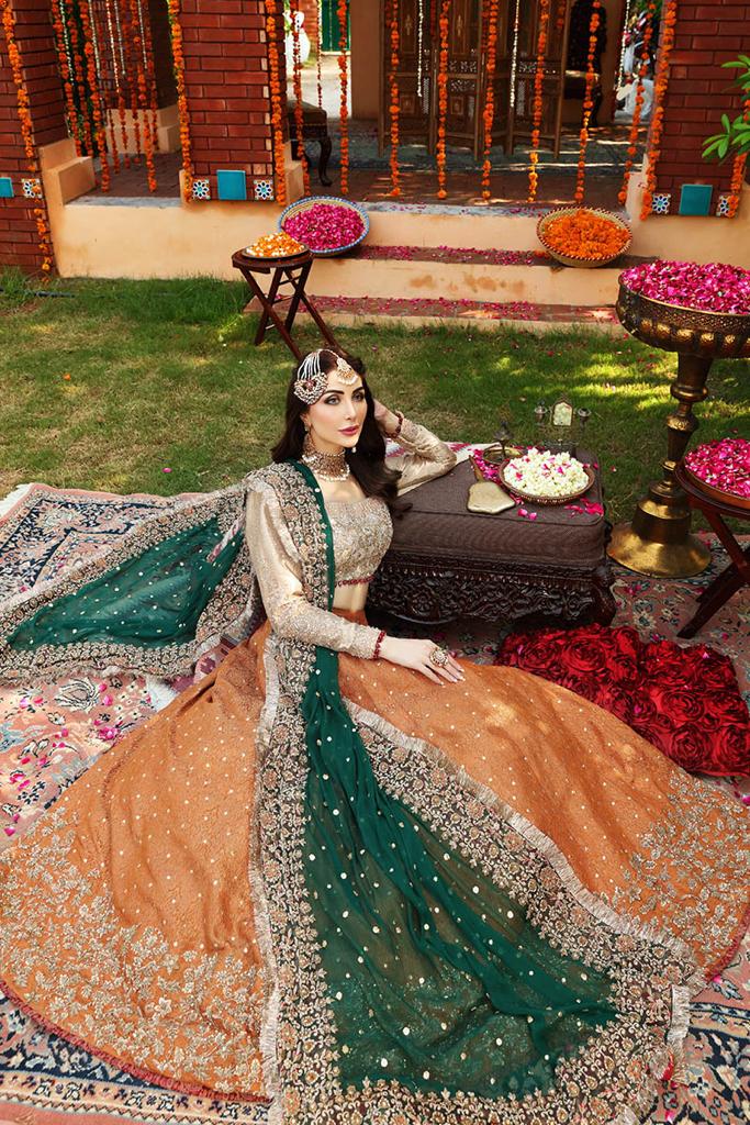 Ayesha Imran Bridal Maxi - Heavily Embroidered Luxury Long Frock