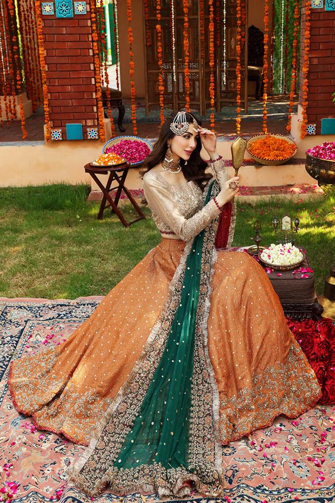 Ayesha Imran Bridal Maxi - Heavily Embroidered Luxury Long Frock