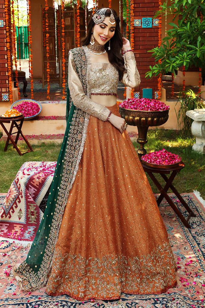 Ayesha Imran Bridal Maxi - Heavily Embroidered Luxury Long Frock