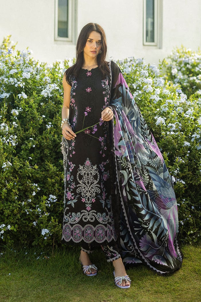 3PIECE Luxury Embroidered Chikenkari Collection
